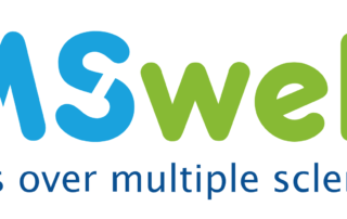 MS Web Logo
